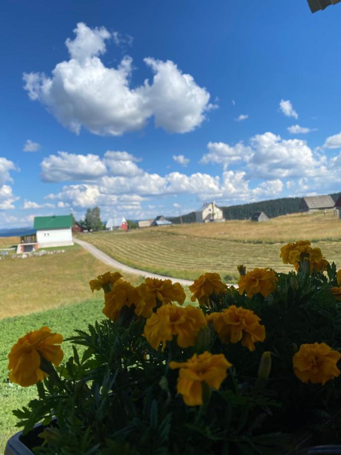 Apartman Bukovac Žabljak Kültér fotó